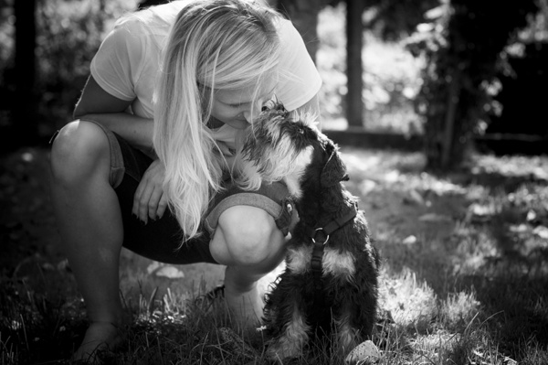 Liebe Hund Wiese Kuss Hundekuss Gemeinsam blond Schnauzer Portrait