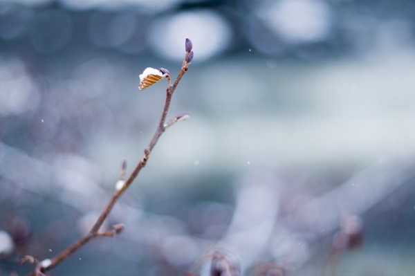 Natur 2016 draussen 