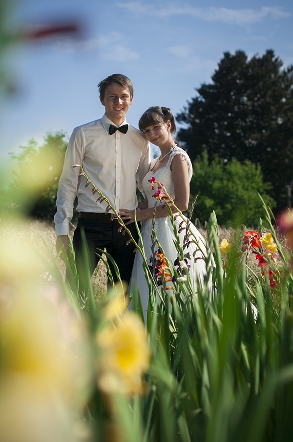 Liebe Hochzeit Gemeinsam Braut Bräutigam