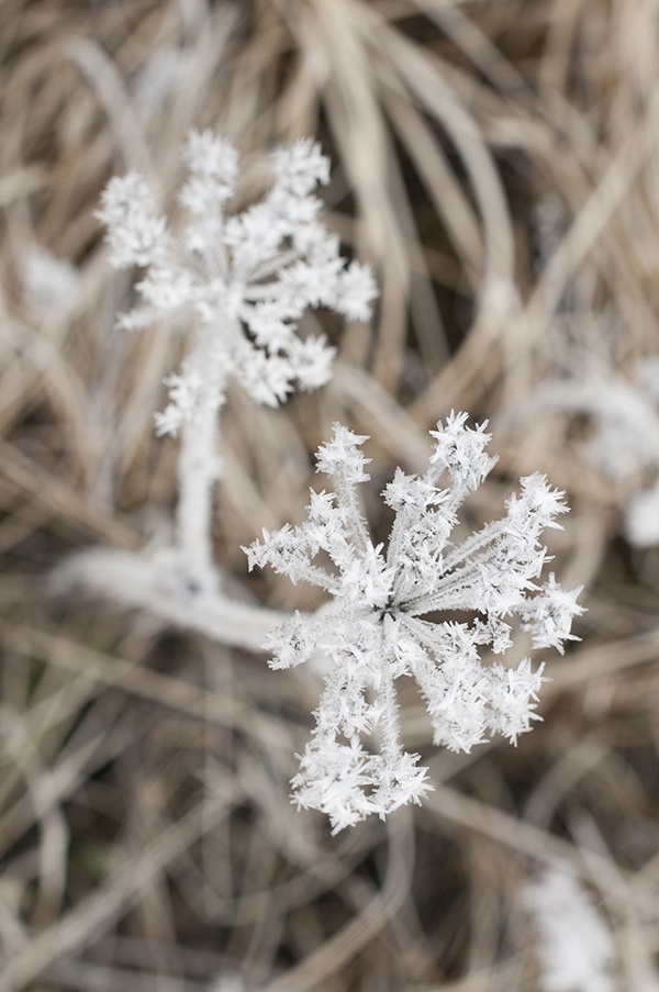 Natur 2015 draussen 