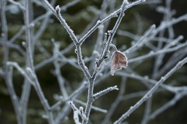 Natur 2015 draussen 