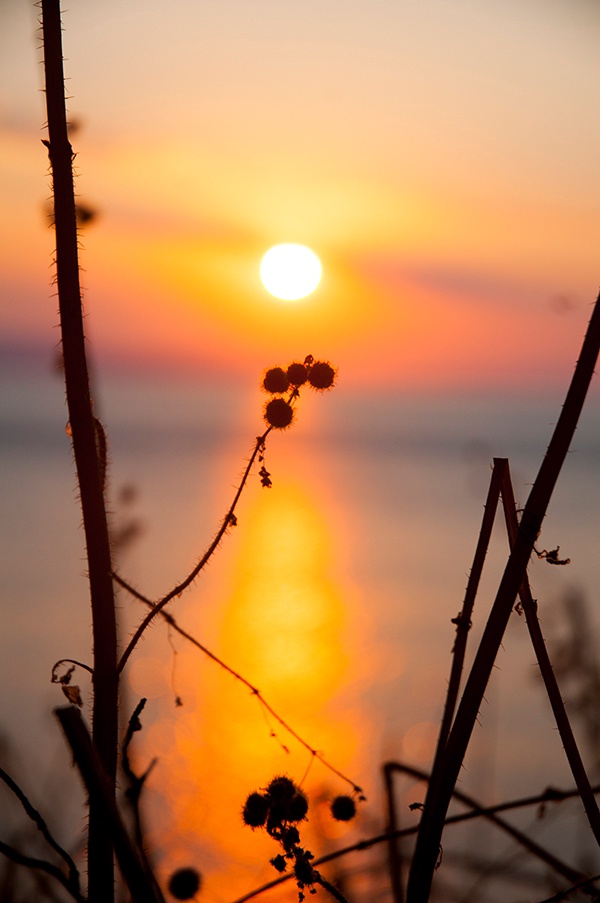 Griechenland 2013 Bokeh Tiefenschärfe Gräser Natur Ring Kreis Meer Sonnenuntergang Glitzer