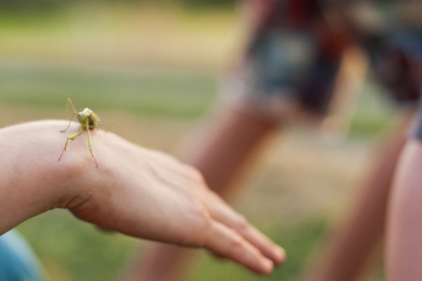 Natur 2015 draussen 